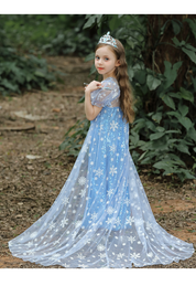Royal Ice Gown Princess Dress