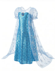 Royal Ice Gown Princess Dress
