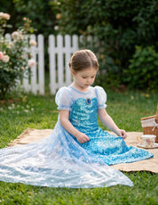 Royal Ice Gown Princess Dress