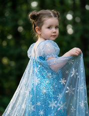 Royal Ice Gown Princess Dress