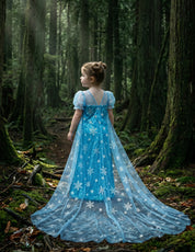 Royal Ice Gown Princess Dress
