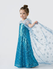 Royal Ice Gown Princess Dress