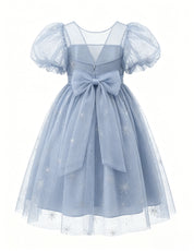 Snowflake Gown Princess Dress