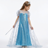 Royal Ice Gown Princess Dress