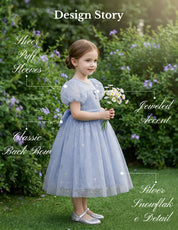 Snowflake Gown Princess Dress