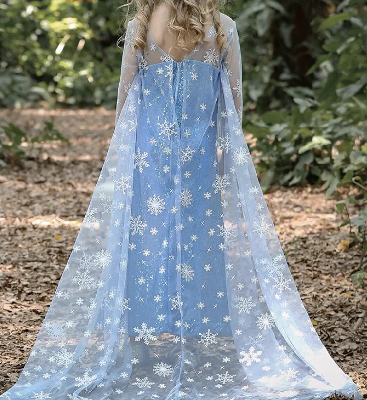 Royal Ice Gown Princess Dress