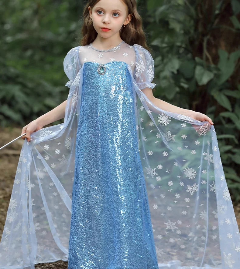 Royal Ice Gown Princess Dress