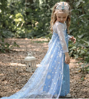 Royal Ice Gown Princess Dress