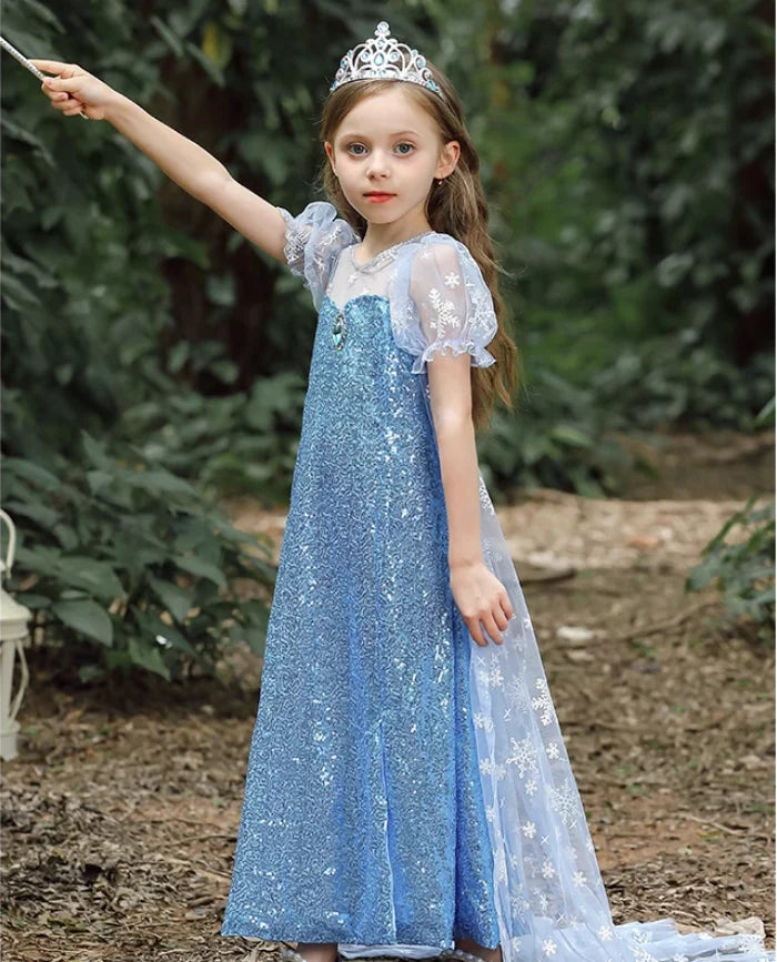 Royal Ice Gown Princess Dress