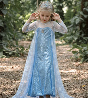 Royal Ice Gown Princess Dress