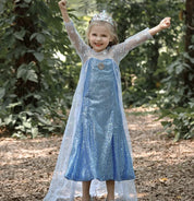 Royal Ice Gown Princess Dress