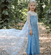 Royal Ice Gown Princess Dress